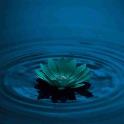  شیشه لبریزه از خون ملت خاطرات پیچیده تو بوی