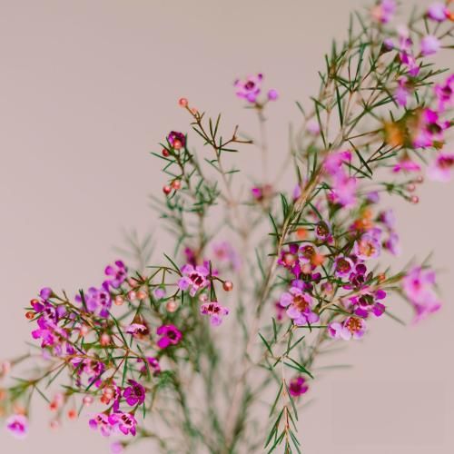  این منم یه تن روی خس زیر خستگی هیاهوی