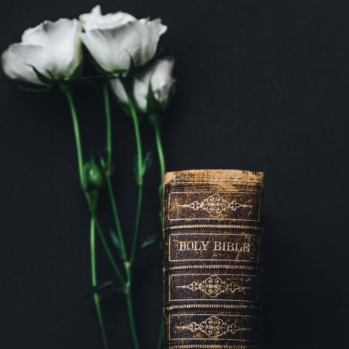 رفتیو دل پر درد بی تو بهار قلبم چه سرده