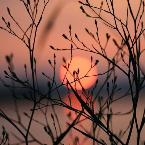  تاریکه همش آسمون محل به روت نیار اگه جنازه دیدی