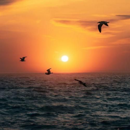  چشاتو وا کن چند تا ابر یادگاری اینجاست