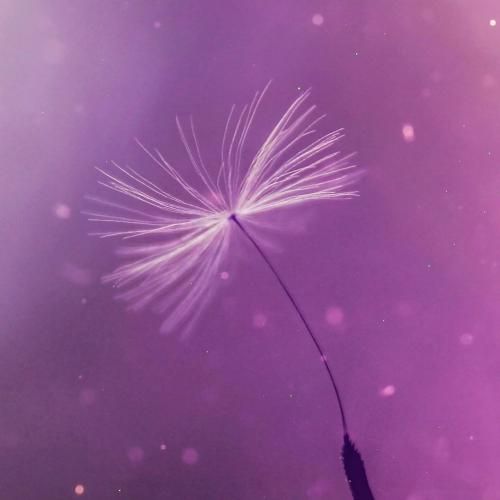  دل من هواتو کرده اما دیگه خطت خاموشه