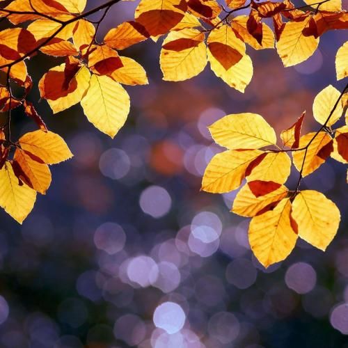  با لباس عزا مادر میرقصید کنار مزار