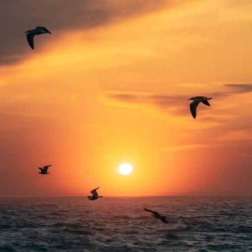 خوشبحالم که دارم برم دبه کنم که رفیقام