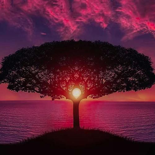  نمیشناسمت ولی مشکیه پیرهنم با صدای زن