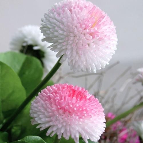 زیرو رو کردم خیابونارو دنبالت عزیزم (ترند اینستا)