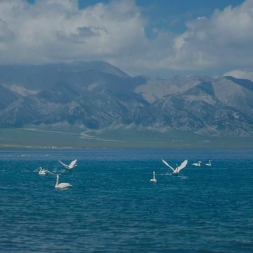 از عالم و آدم سر تو حرف شنیدم با صدای دختر اینستایی